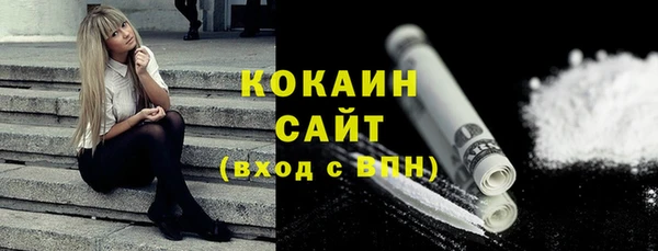 2c-b Тайга