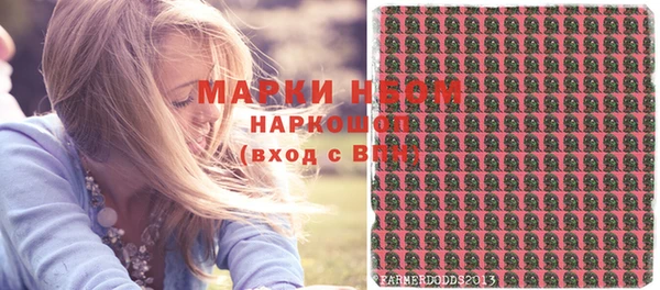 мдпв Богородицк