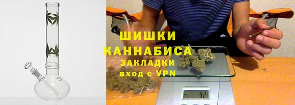 ПСИЛОЦИБИНОВЫЕ ГРИБЫ Богданович
