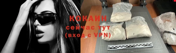 мдпв Богородицк