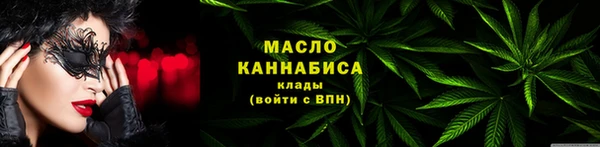 мдпв Богородицк