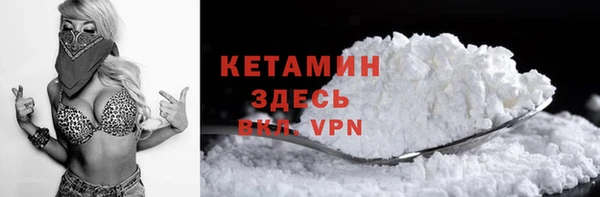 ПСИЛОЦИБИНОВЫЕ ГРИБЫ Богданович