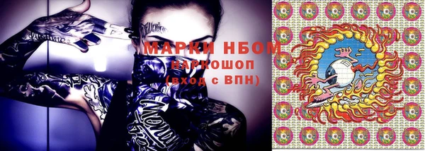 мдпв Богородицк