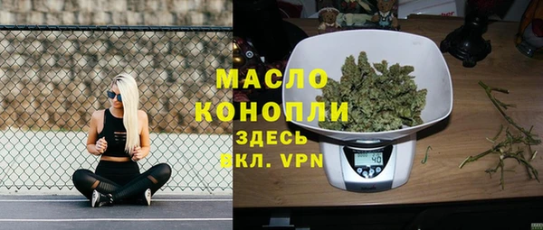 мдпв Богородицк