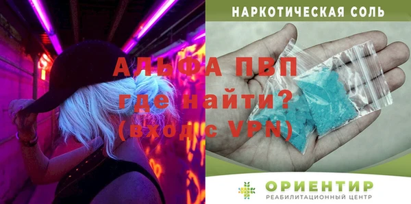 ПСИЛОЦИБИНОВЫЕ ГРИБЫ Богданович