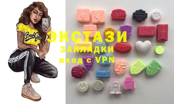 мдпв Богородицк