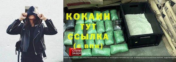 мдпв Богородицк