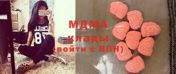 ПСИЛОЦИБИНОВЫЕ ГРИБЫ Богданович