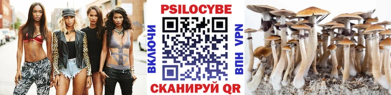 купить наркотики цена  Макаров  Галлюциногенные грибы прущие грибы 